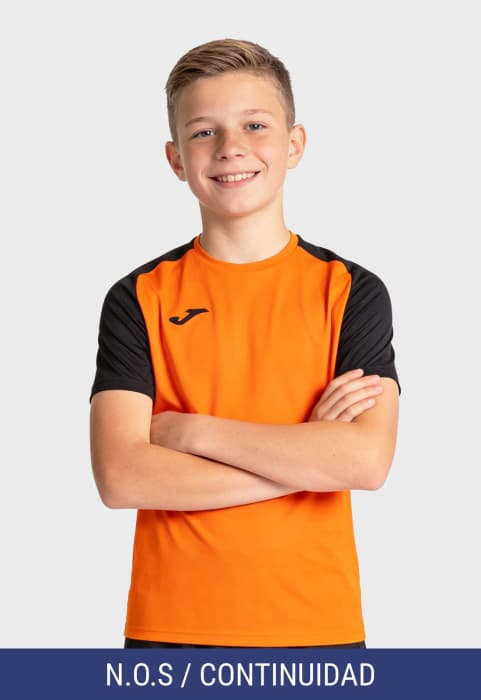 Academy IV