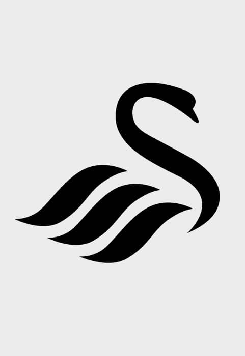 SWANSEA 26/27